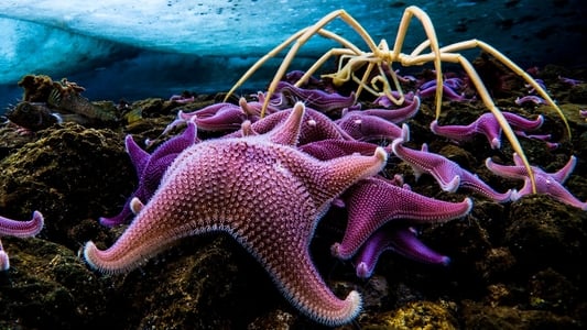 Image Siete mundos un planeta 1