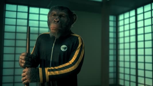 Image The Umbrella Academy 6