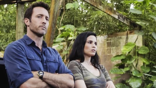Image Hawaii Five-0 3