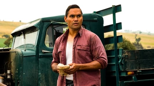 Image Ten Pound Poms 4