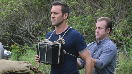 Image Hawaii Five-0 18