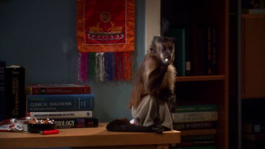 Image La Teoria Del Big Bang (The Big Bang Theory) 21