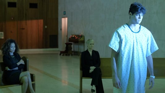 Image Familia de acogida 12