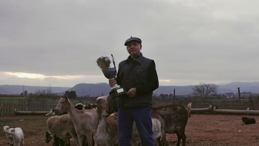 Image Lo de Évole 4