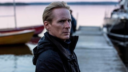 Image Backstrom 2020 5