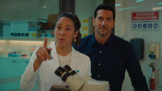 Image Hudson & Rex 8