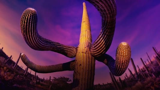 Image Planeta Verde 5