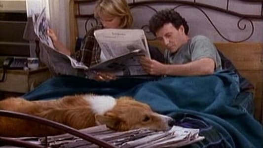 Image Loco por ti (Mad About You) 3