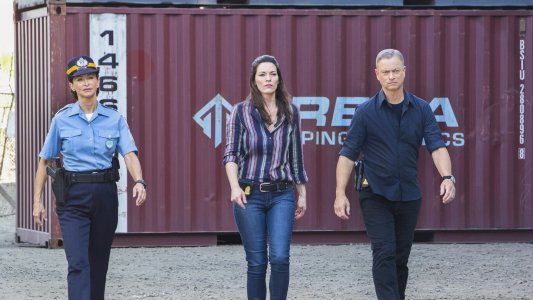 Image Mentes Criminales: Sin Fronteras 8