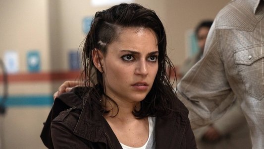 Image Revival (2025) 5