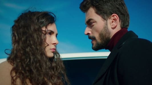 Image Hercai 24