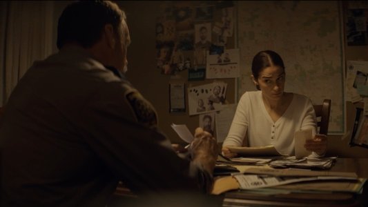 Image Revival (2025) 7