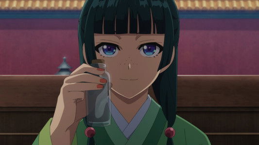 Image Los diarios de la boticaria 23