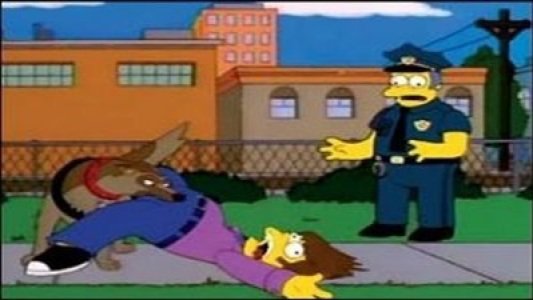 Image Los Simpsons 16