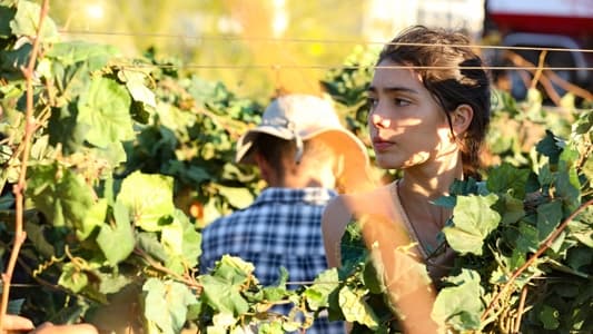 Image La tierra prometida 5