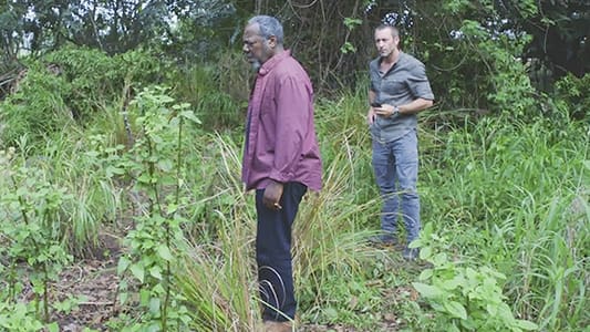 Image Hawaii Five-0 19