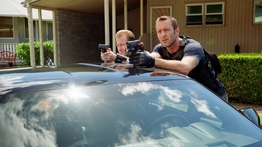 Image Hawaii Five-0 8