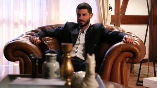 Image La Luz De Mi Vida 20