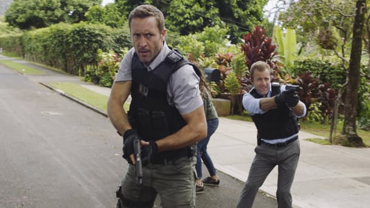 Image Hawaii Five-0 21