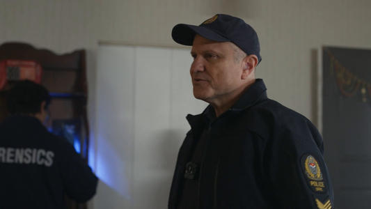 Image Allegiance (2024) 6