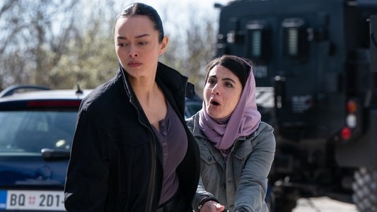 Image FBI: International 20