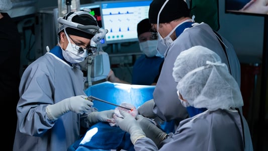 Image Anatomía de Grey (Greys Anatomy) 21