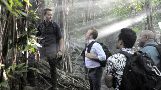 Image Hawaii Five-0 1