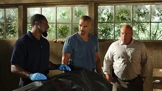 Image Mentes Criminales (Criminal Minds) 20