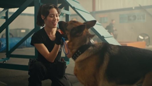 Image Hudson & Rex 4