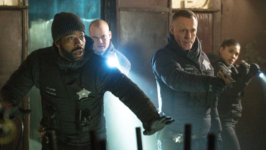 Image Chicago P.D. 17