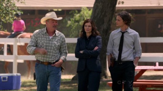 Image Mentes Criminales (Criminal Minds) 3