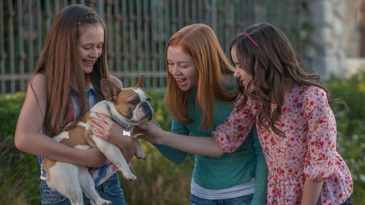 Image Una pizca de magia 3