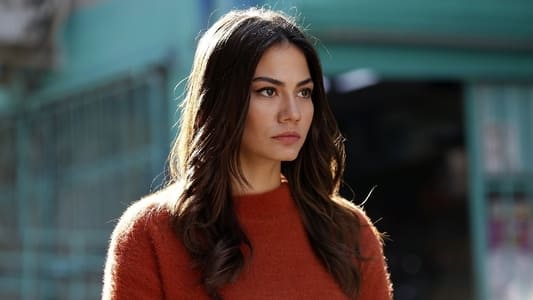 Image Mi hogar mi destino 1