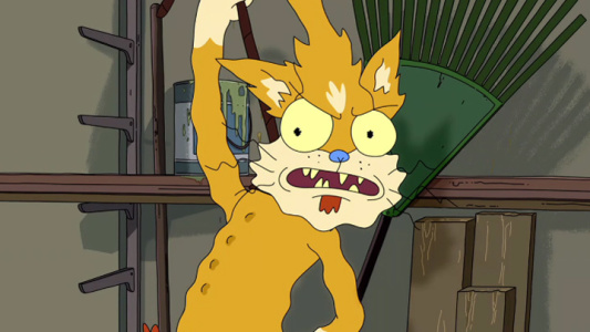 Image Rick and Morty 11