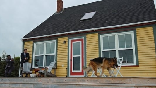 Image Hudson & Rex 1