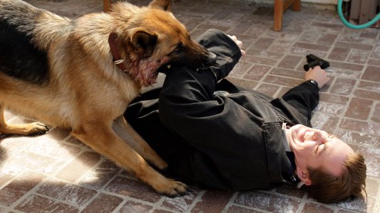 Image NCIS (Navy: Investigación criminal) 13