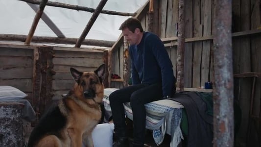 Image Hudson & Rex 3