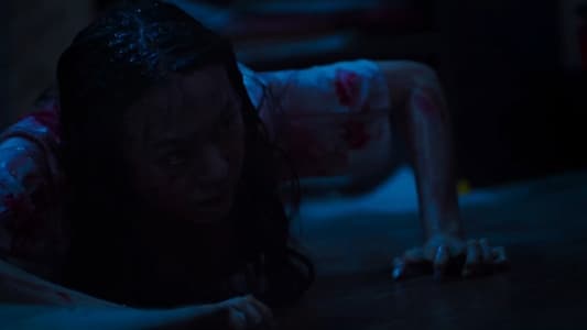 Image School Tales: La serie 2