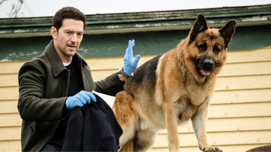 Image Hudson & Rex 4