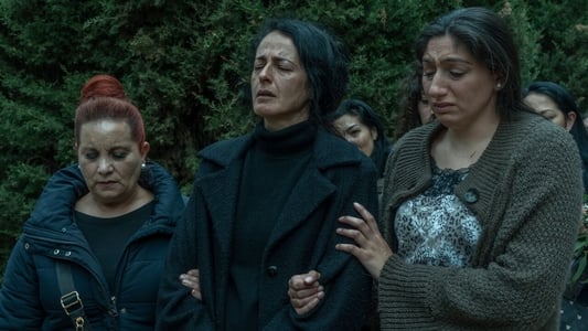 Image La novia gitana 3