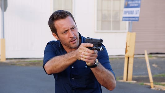 Image Hawaii Five-0 9