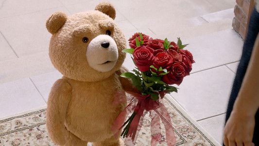 Image Ted 2