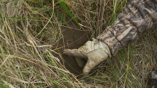 Image Pirate Gold of Adak Island 7