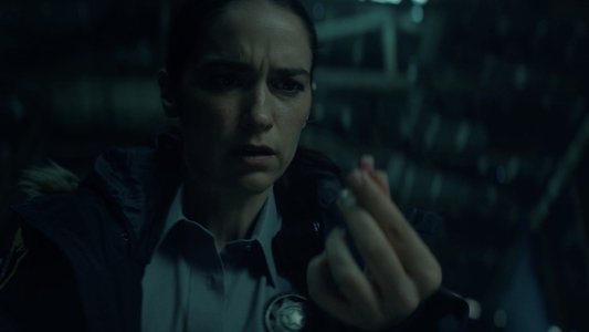 Image Revival (2025) 1