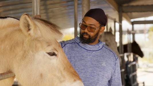 Image The UnXplained 8