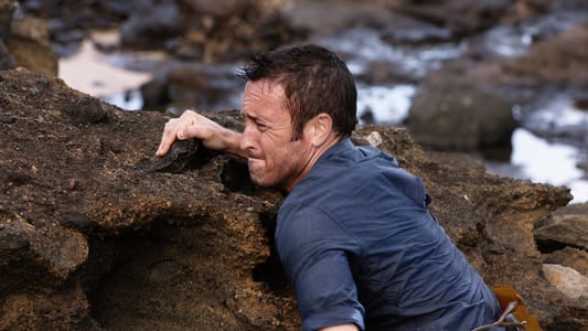 Image Hawaii Five-0 4
