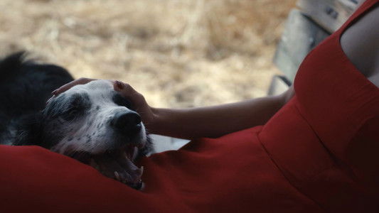 Image El museo de la inocencia 8