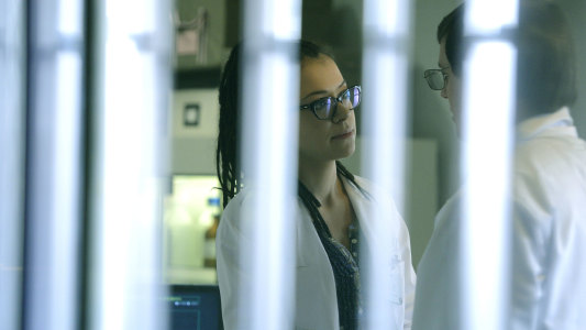 Image Orphan Black 8