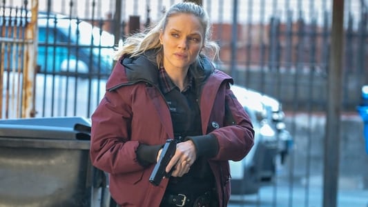 Image Chicago P.D. 3