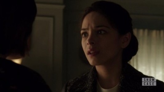 Image La Bella y Bestia (Beauty and the Beast) 12